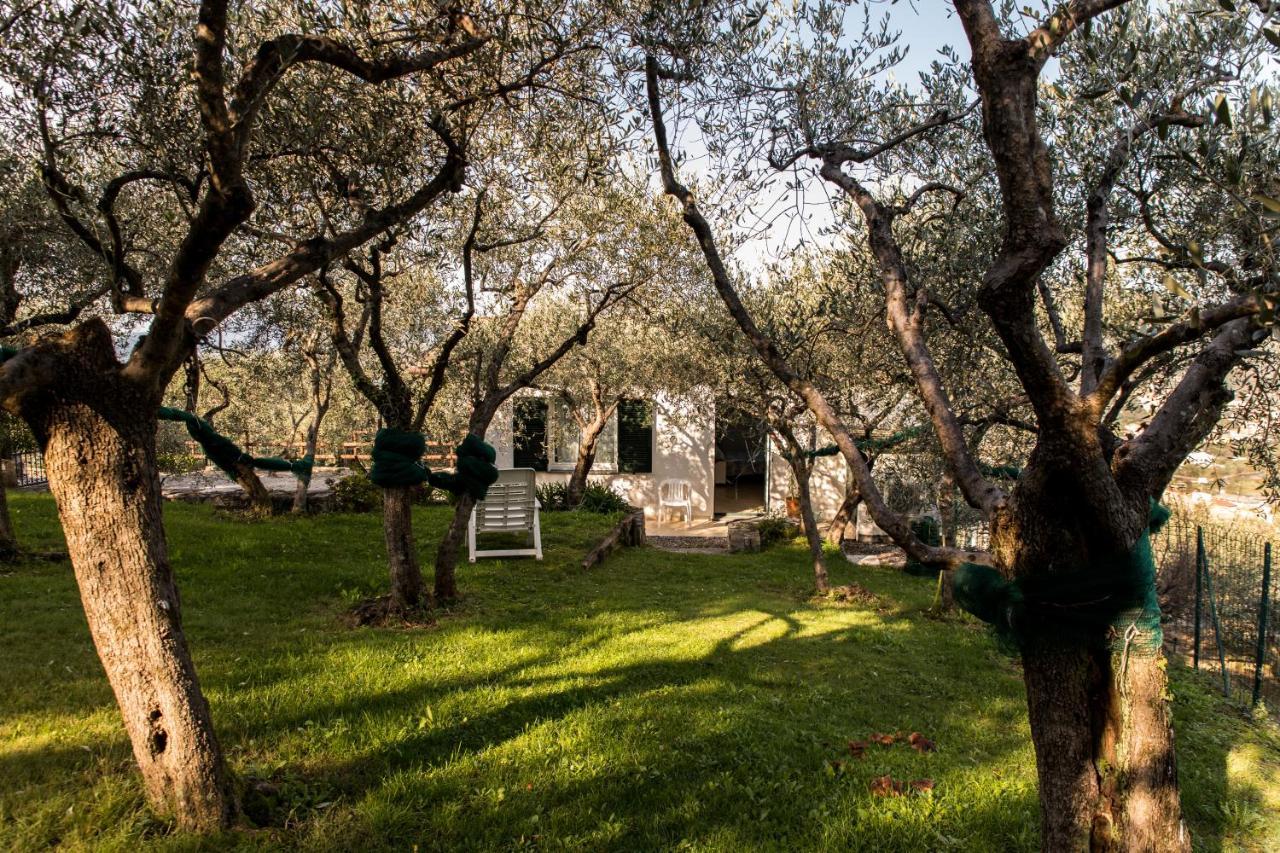 Agri Bed - L'Affittacamere In Collina - Guest Room On The Hill ลาวาญา ภายนอก รูปภาพ