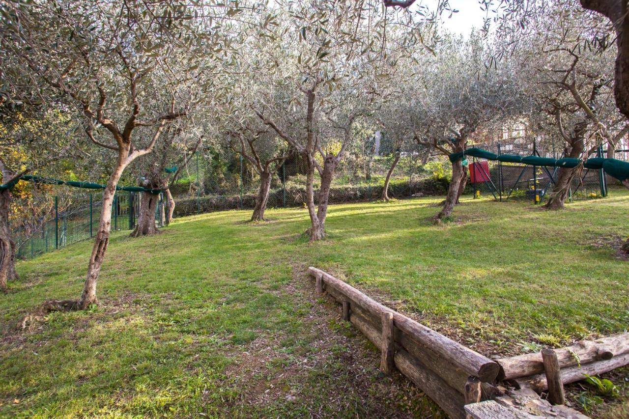 Agri Bed - L'Affittacamere In Collina - Guest Room On The Hill ลาวาญา ภายนอก รูปภาพ