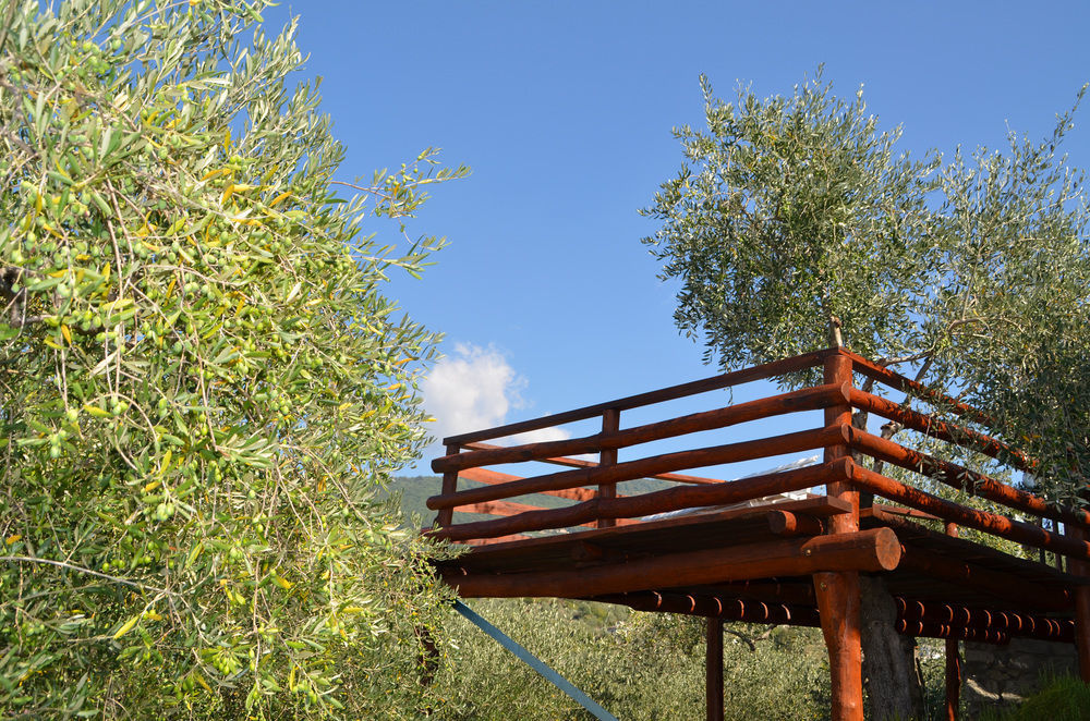 Agri Bed - L'Affittacamere In Collina - Guest Room On The Hill ลาวาญา ภายนอก รูปภาพ