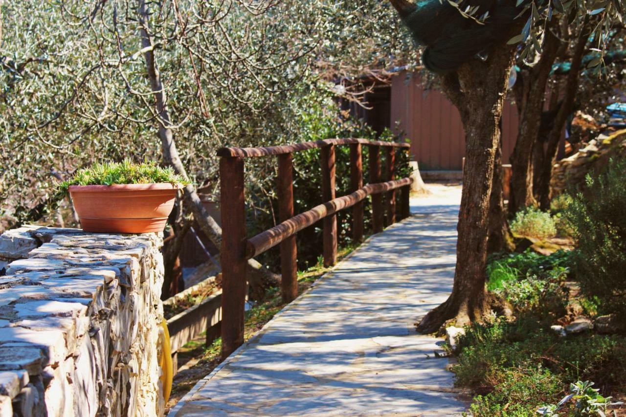 Agri Bed - L'Affittacamere In Collina - Guest Room On The Hill ลาวาญา ภายนอก รูปภาพ